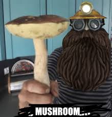 mushroom